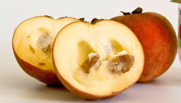 Manfaat Buah Bisbul