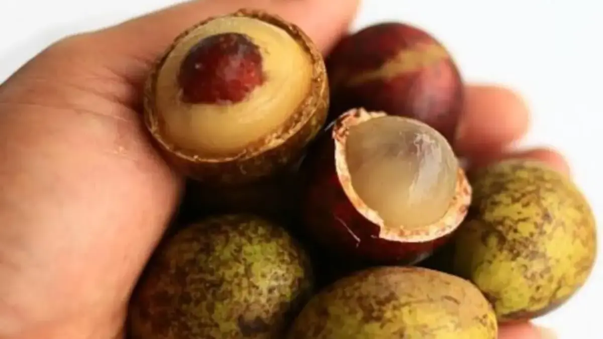 Manfaat Buah Matoa