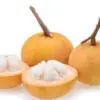 Manfaat Buah Kecapi untuk Kesehatan