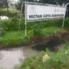 hutan kota karawang