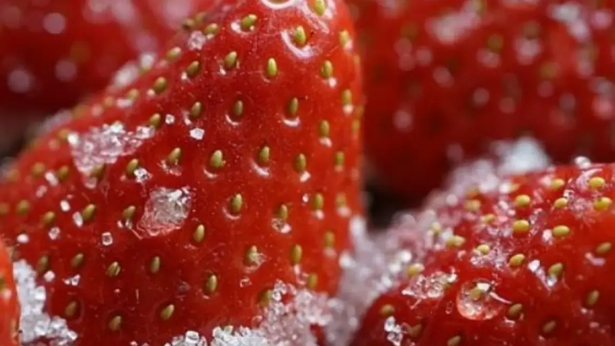 Buah stroberi