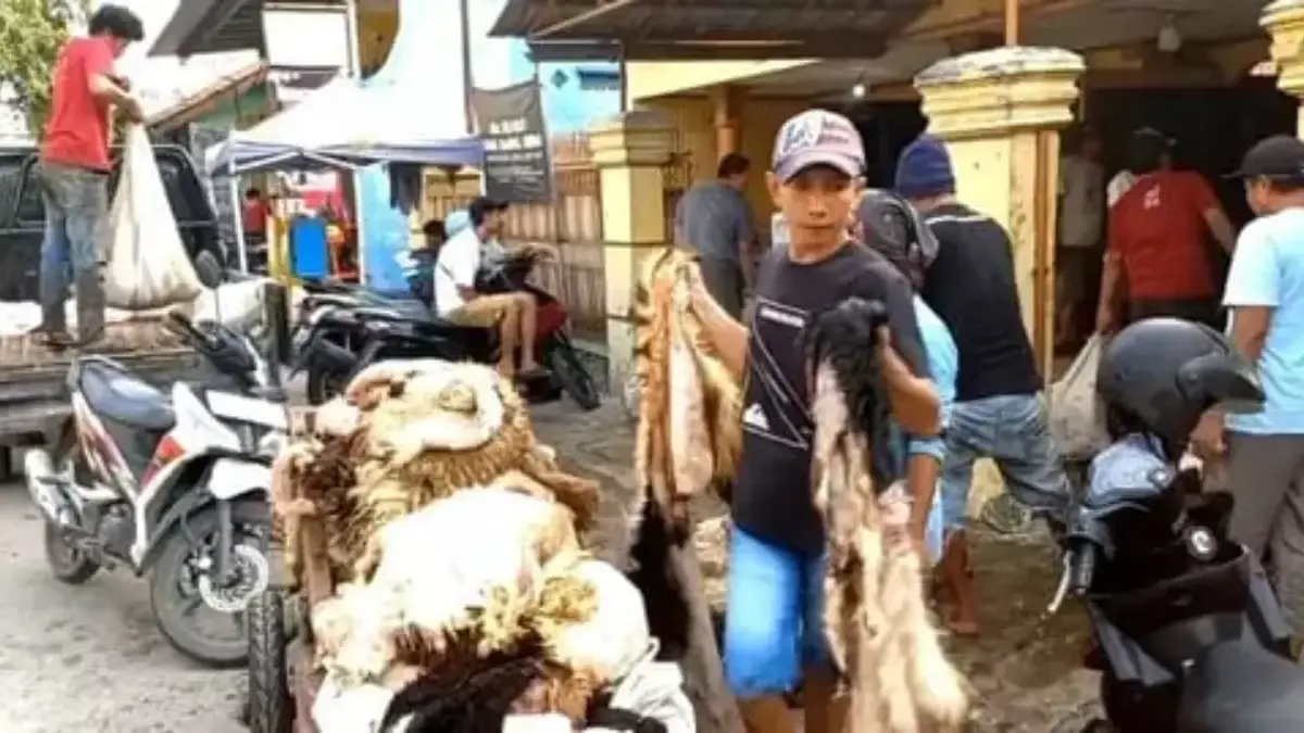 kulit kurban