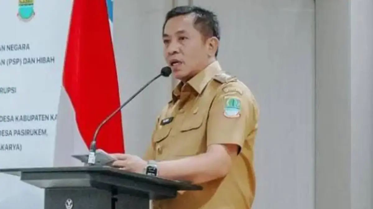 Bupati aep