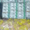 Penjual Obat Keras Ilegal di Cikarang Barat Diringkus Polisi