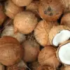 Impor Kelapa Indonesia ke China