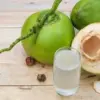 Alasan Kenapa Harga Kelapa Naik dan Mahal
