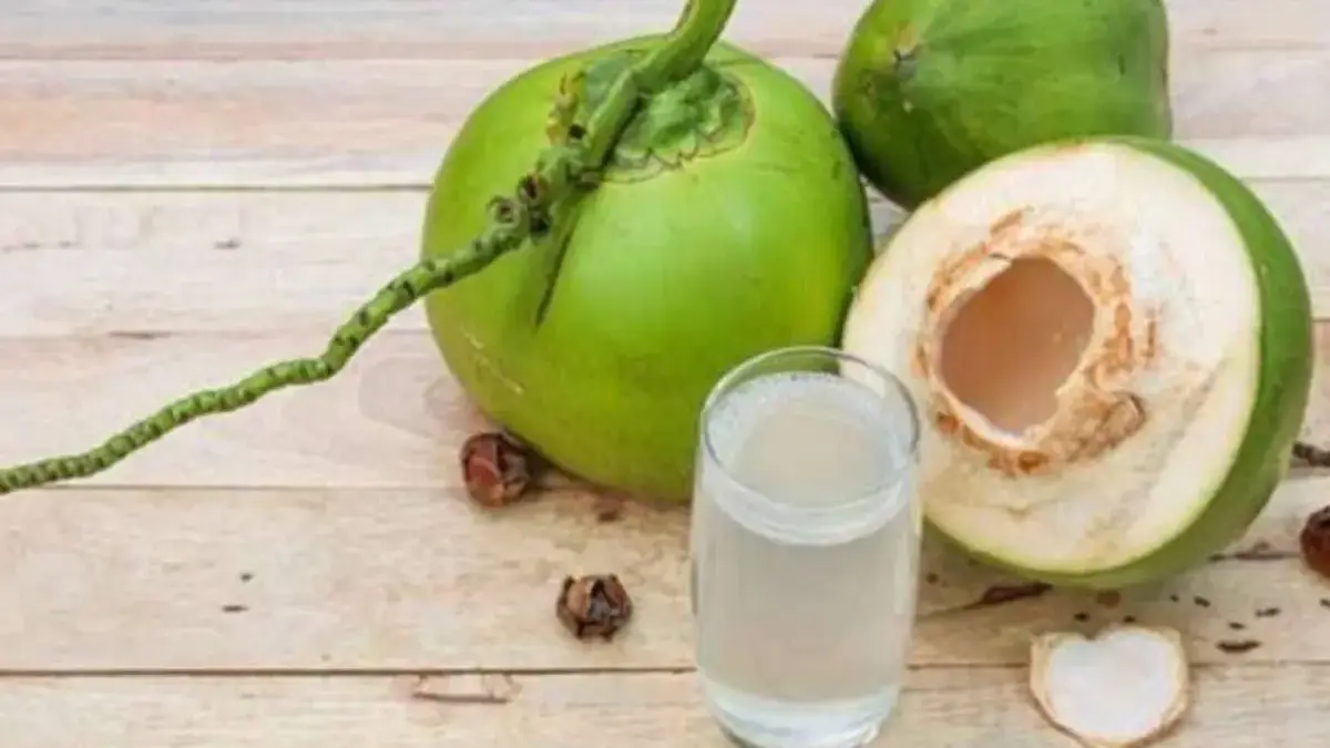 Alasan Kenapa Harga Kelapa Naik dan Mahal