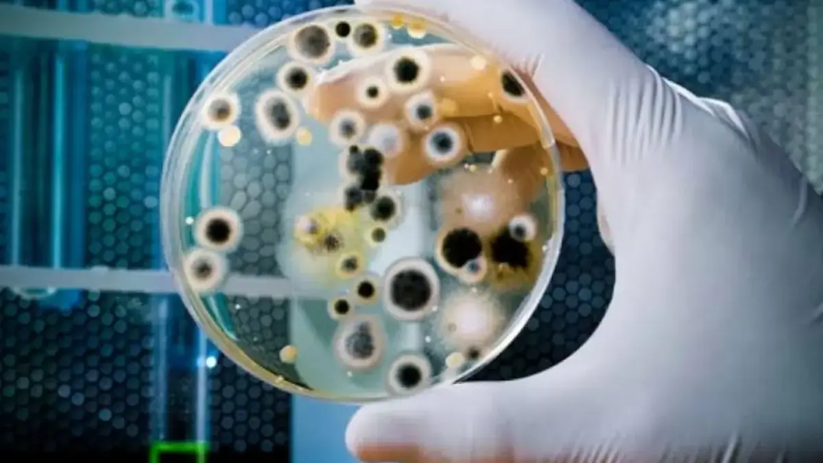 Nanoplastik Bisa Ubah Bakteri Jadi Pembunuh Mematikan