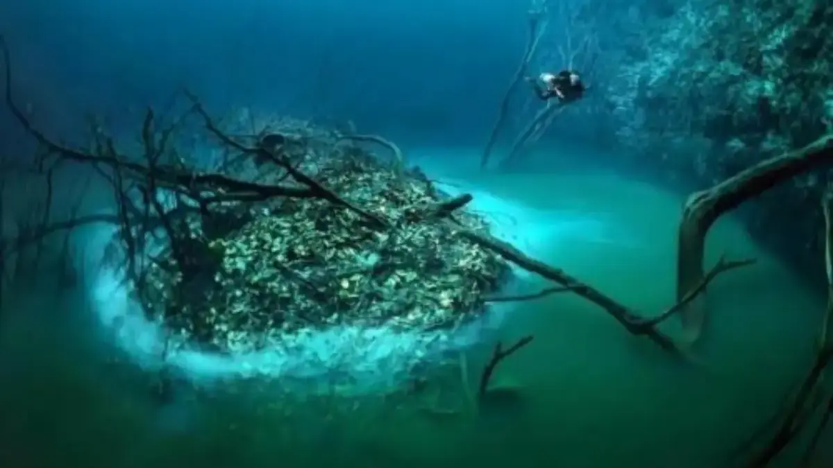 Sungai di Bawah Laut