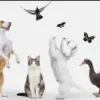 Di Jepang jumlah hewan peliharaan lebih banyak daripada jumlah anak-anak.