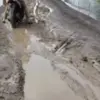 Jalan Berlumpur di Muara Gembong