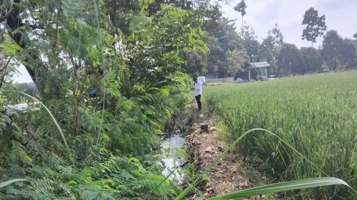 DLH Karawang Selidiki Dugaan Pencemaran Limbah B3 di Saluran Air Dekat Hutan Kota Dugaan pencemaran limbah B3