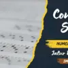 50 Soal Numerasi Jalur Prestasi SMA yang Wajib Kamu Coba, Plus Cara Ngerjainnya!