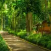 Wisata gratis di Cianjur