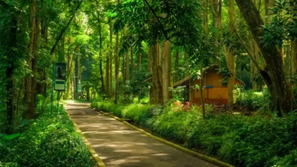 Wisata gratis di Cianjur