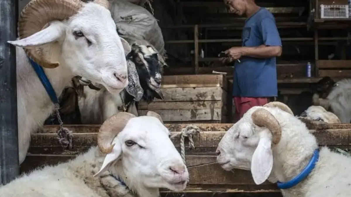 Keistimewaan Hari Raya Idul Adha