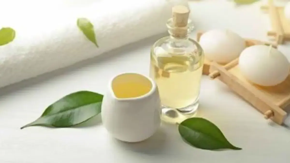 ilustrasi Tea tree oil