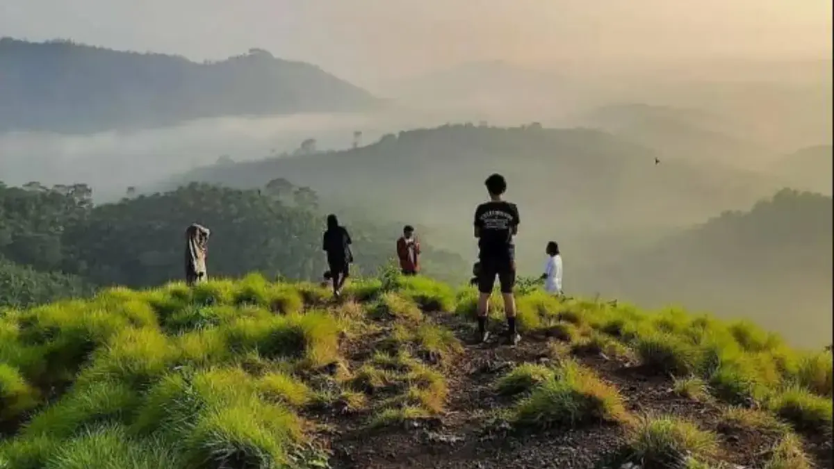 Bukit Batu Bara, Lampung Tengah
