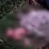 Seorang bayi yang diduga baru dilahirkan ditemukan di semak-semak.