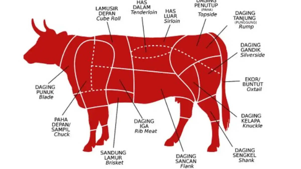 5 Bagian Daging Sapi Paling Lezat dan Bergizi.
