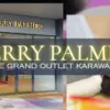 Terry palmer