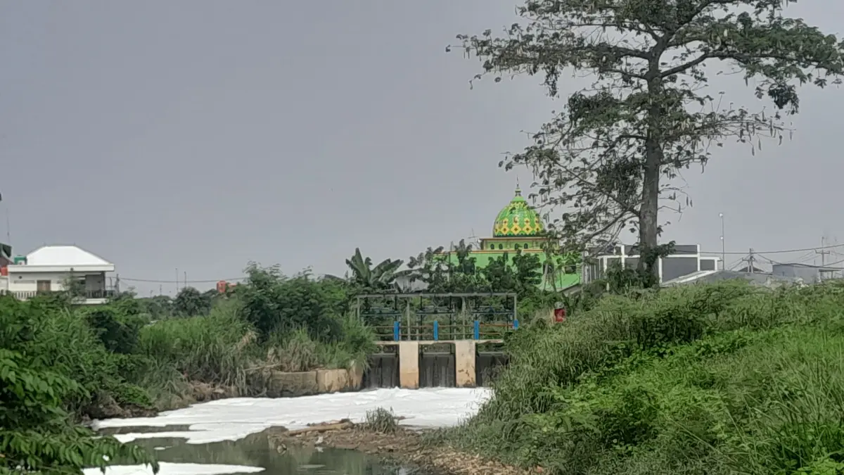 Kali berbusa bekasi