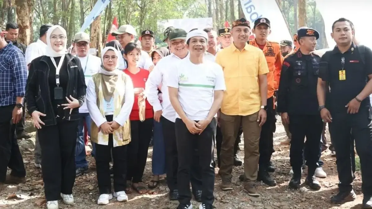 Hutan jati dangdeur purwakarta