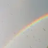 Kenapa Pelangi Hanya Ada Setelah Hujan