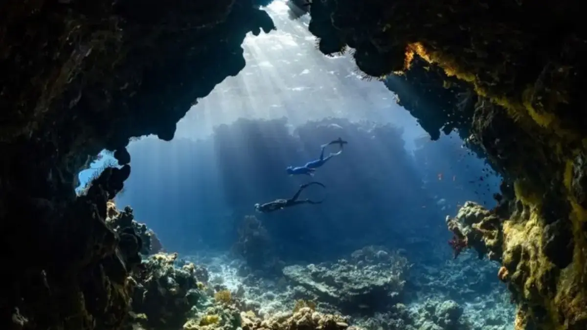 Sungai Mengalir di Bawah Laut
