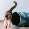 Kenapa Kucing Suka Menyembunyikan Mainannya