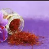 Ilustrasi Saffron