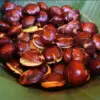 Harga Jengkol di Bekasi Melonjak Tinggi.
