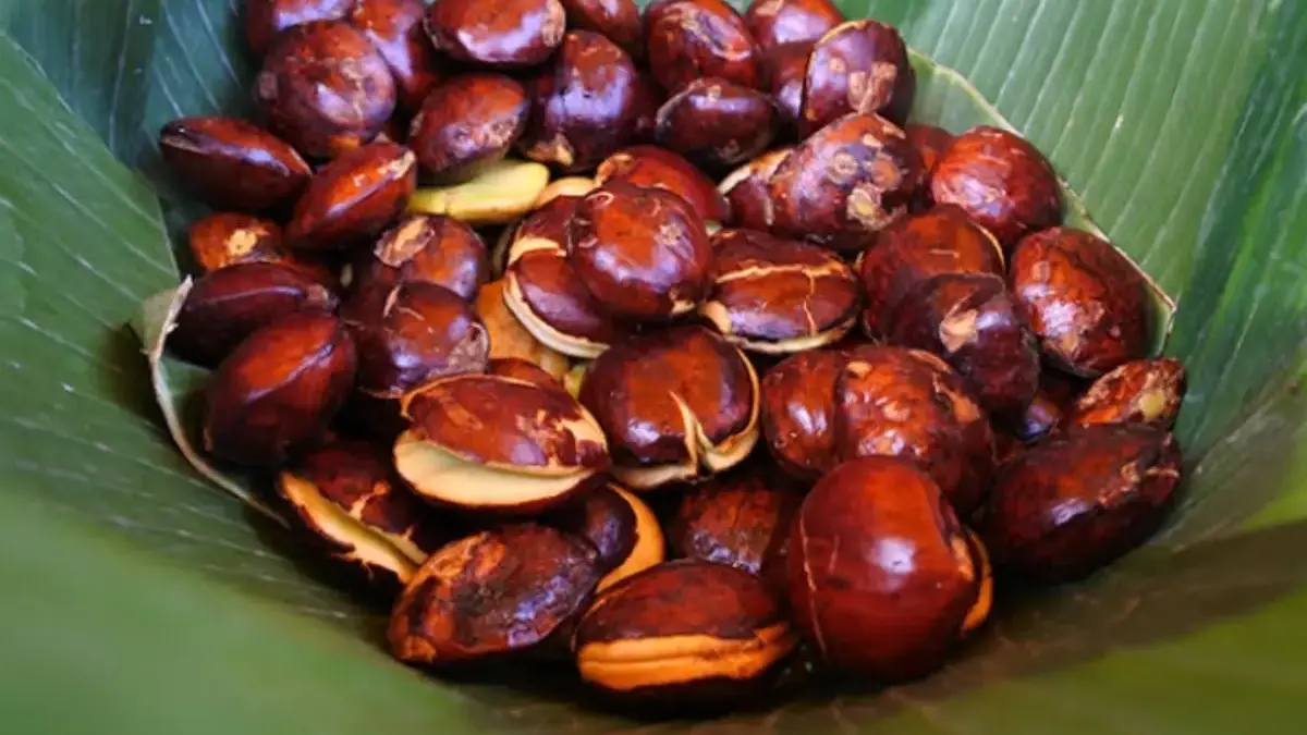 Harga Jengkol di Bekasi Melonjak Tinggi.