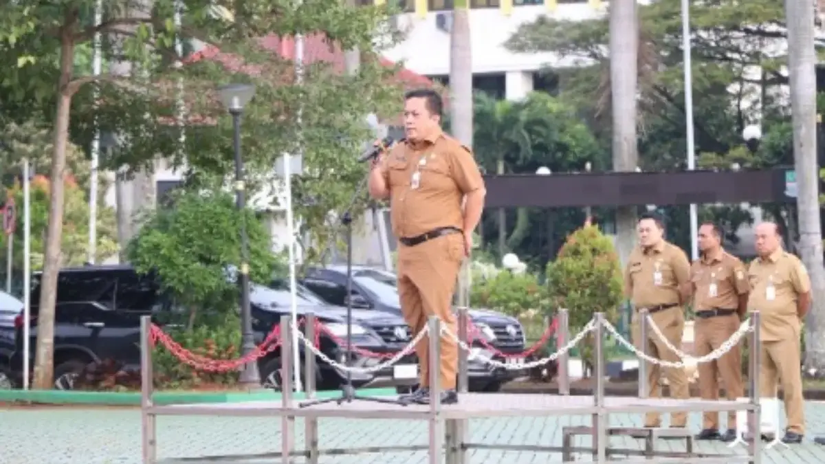 Sekda dedy