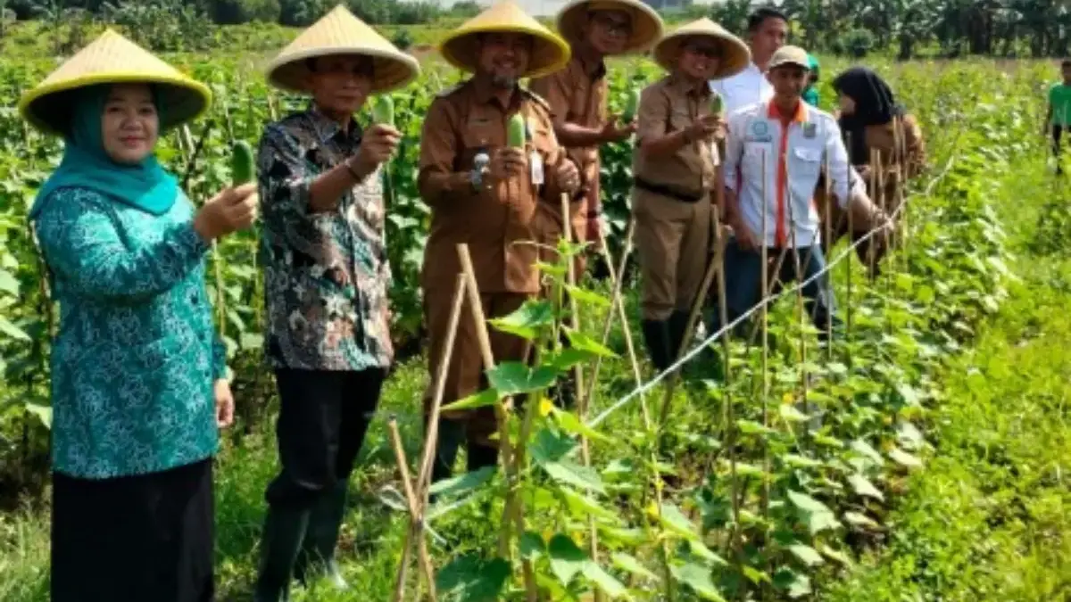 Desa Sukadami Bertani, Kades HM Kunang Luncurkan Program Ketahanan Pangan Berbasis BUMdes Sukadami
