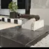Si Jagur