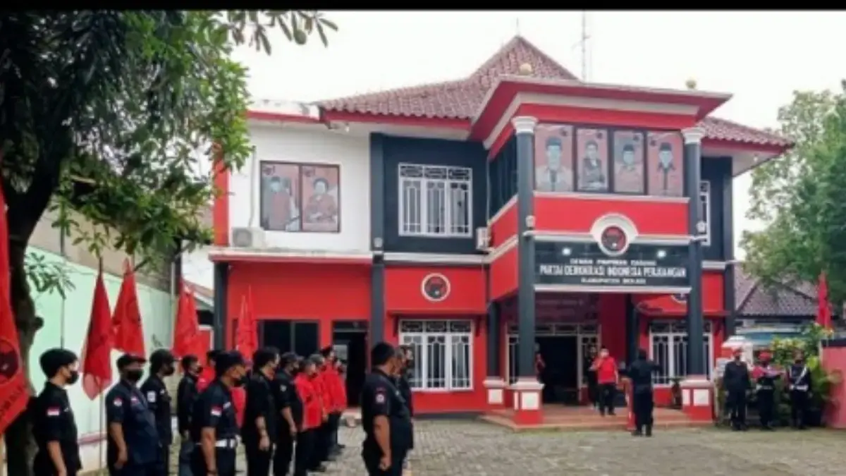 DPC pdip