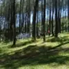 ilustrasi Wisata alam Bandung.