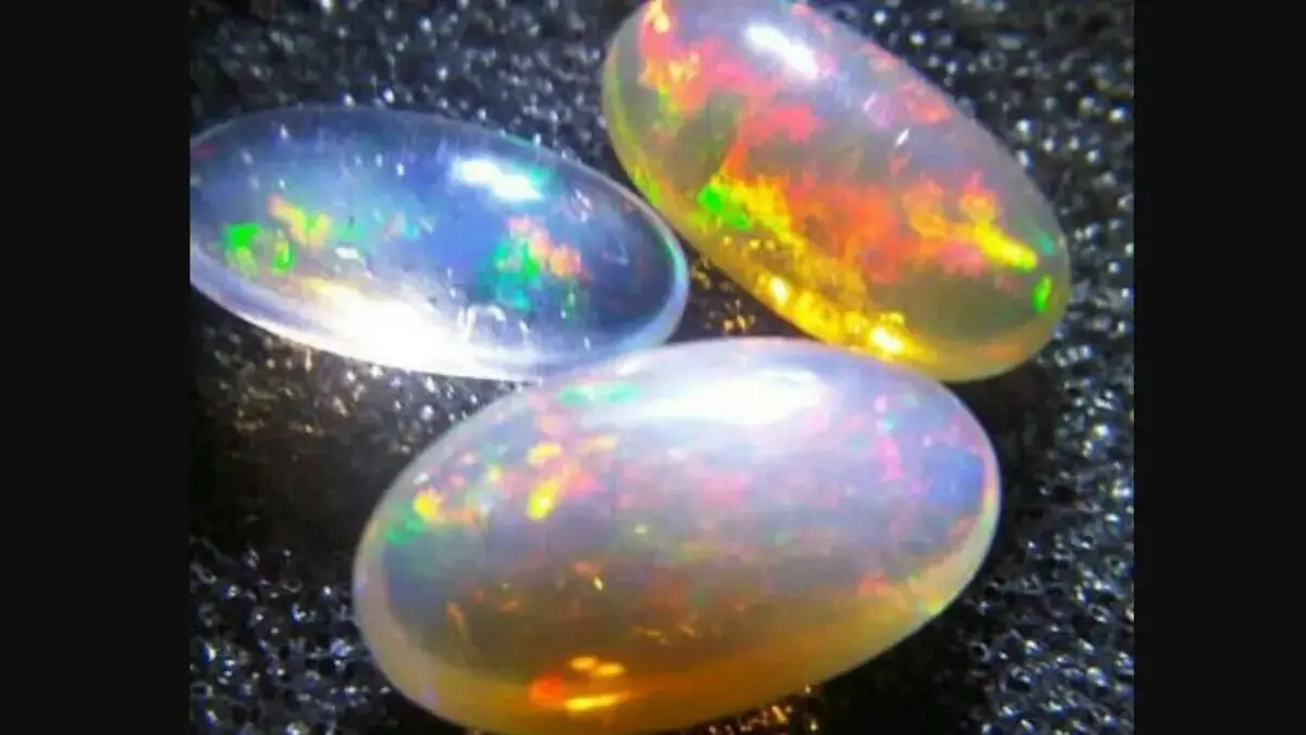 Ilustrasi Kalimaya Black Opal