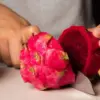Buah Naga atau Dragon Fruit.