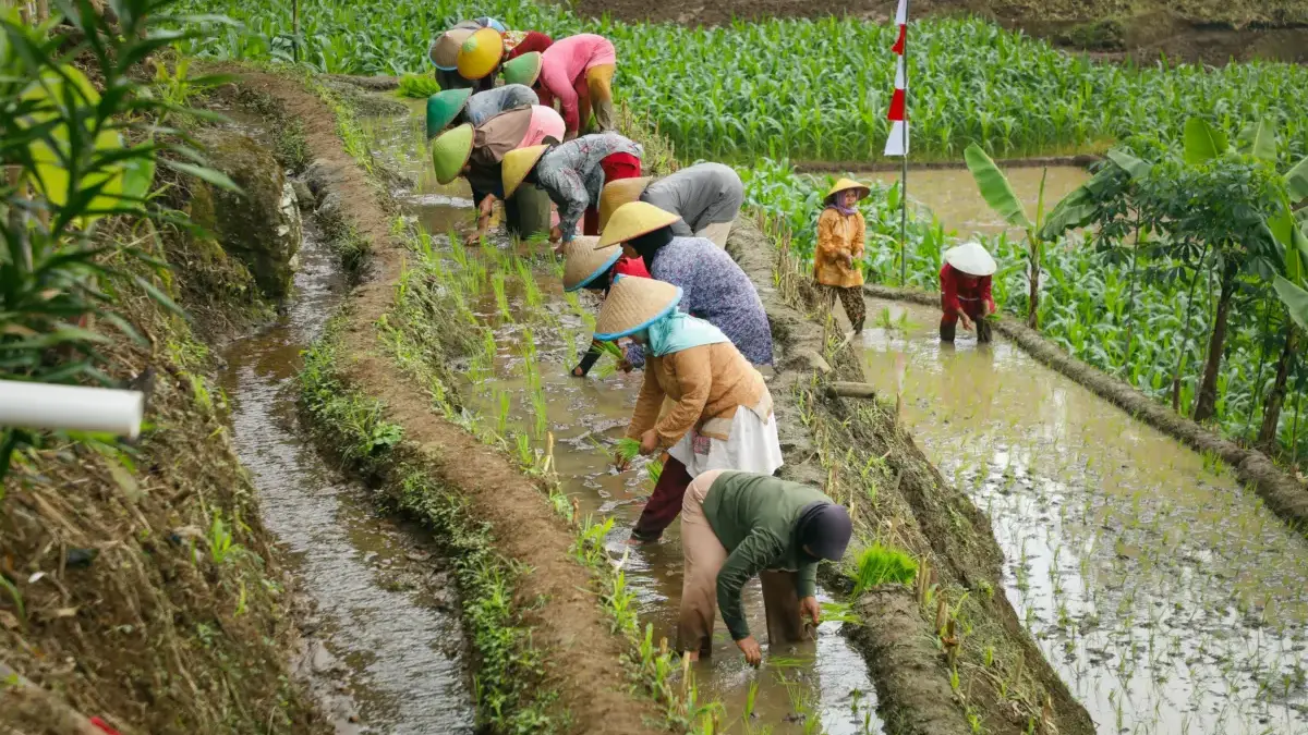 Petani jateng