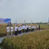 Lahan