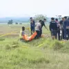 Jasad kacab bri