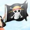 Heboh Bendera One Piece di Momen 17 Agustus
