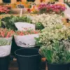 Pasar Bunga Terbaik di Bandung.