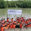 Mangrove