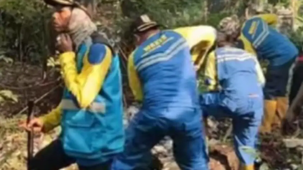 Pasukan biru