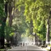 Tempat Lari (Road Run) Favorit di Bandung.