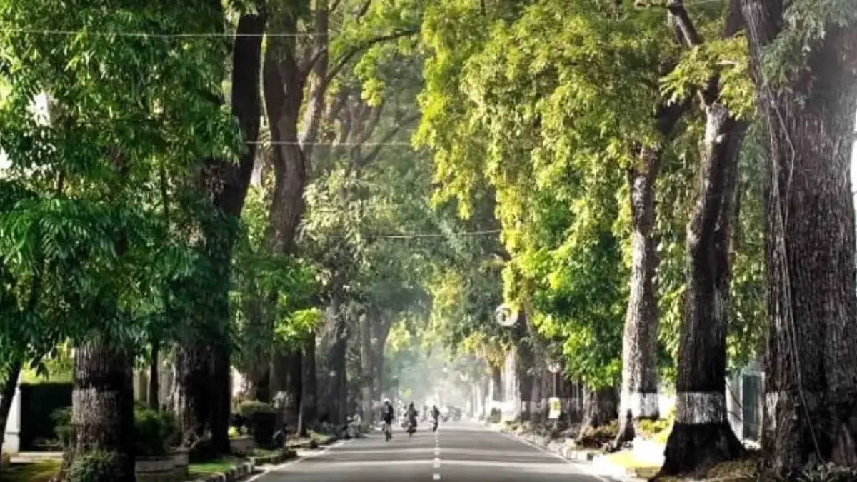 Tempat Lari (Road Run) Favorit di Bandung.