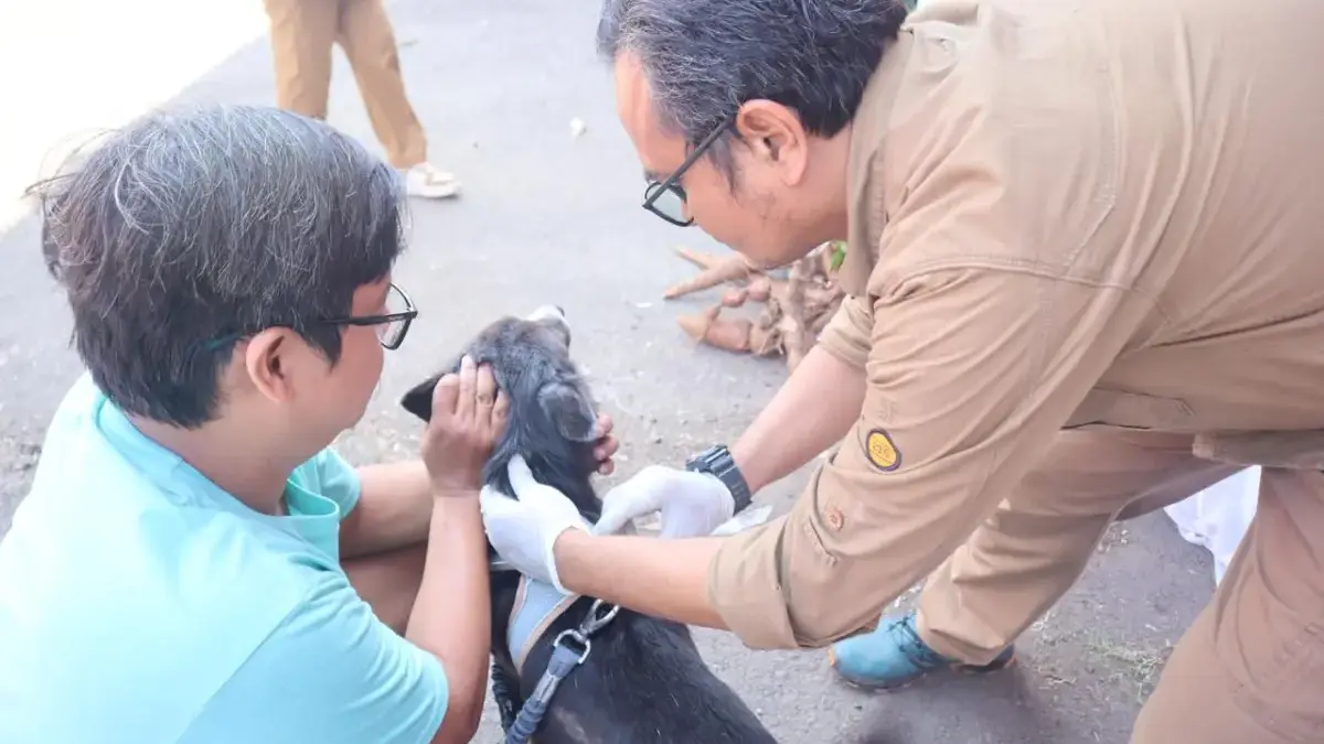 DPKP Berikan Vaksin Rabies Gratis.